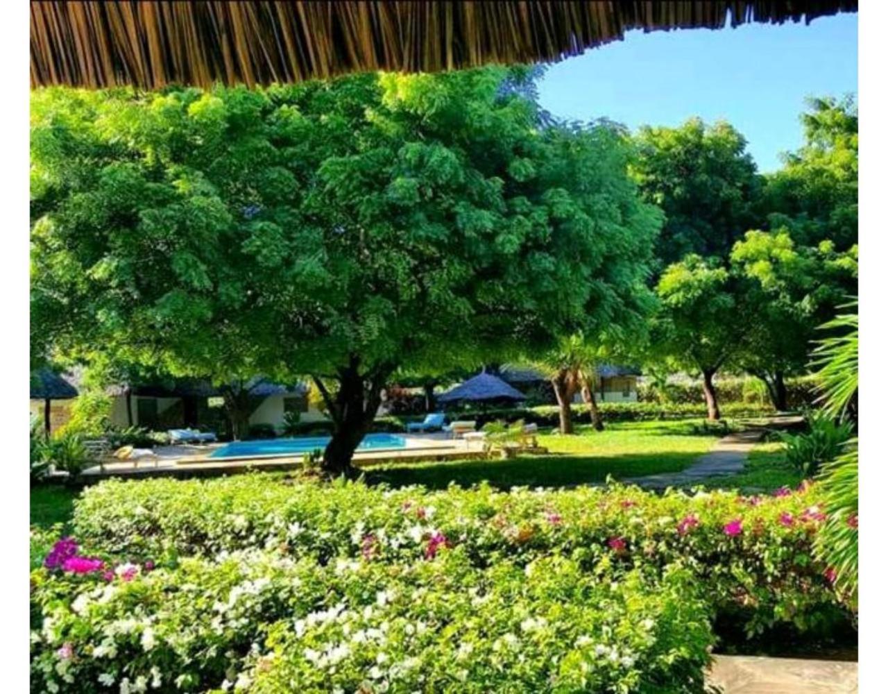 Eco Villas واتامو المظهر الخارجي الصورة