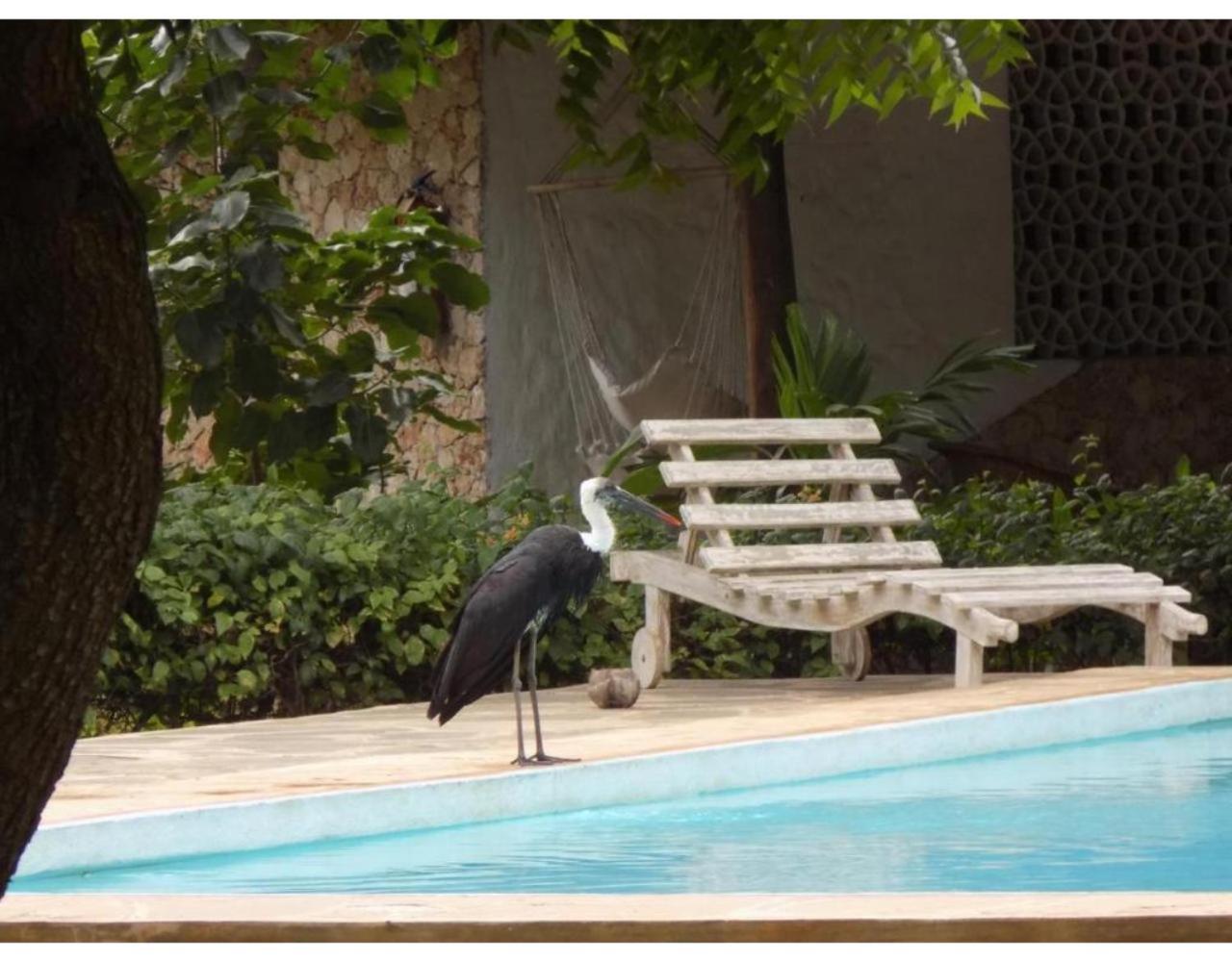 Eco Villas واتامو المظهر الخارجي الصورة
